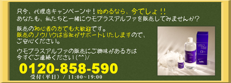 代理店募集