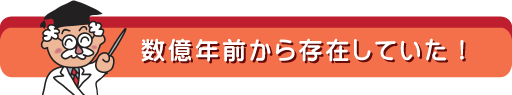 数億年前から存在していた